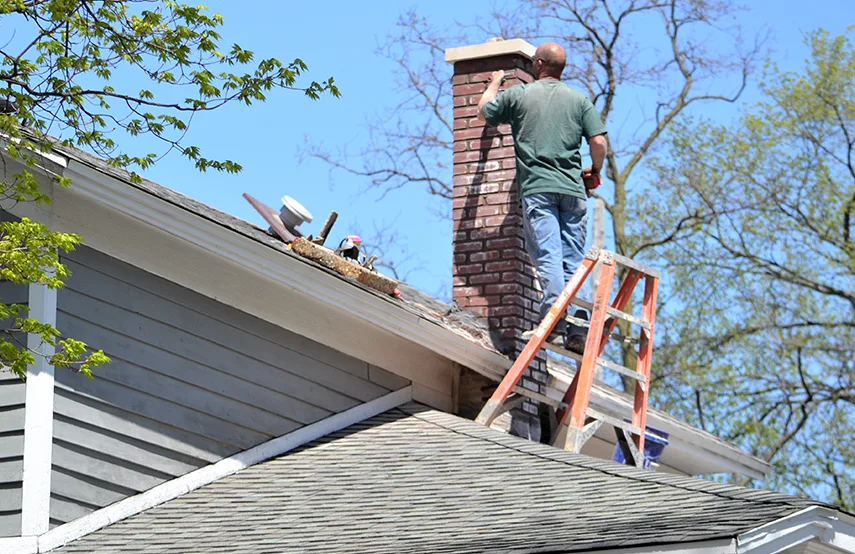 Chimney & Fireplace Inspections Services in Hercules, CA